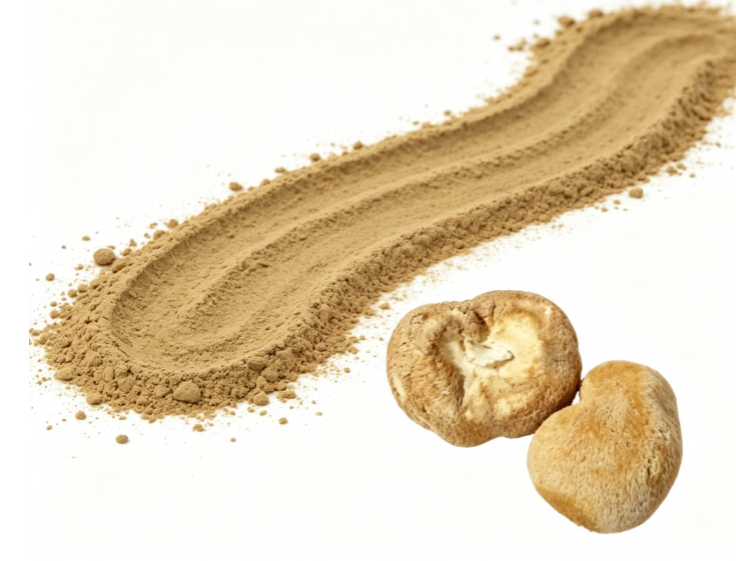 Lion's Mane Mushroom Extract Lion's Mane Mushroom Extract