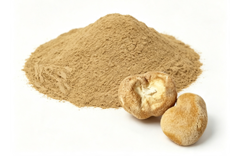 Lion's Mane Mushroom Extract Lion's Mane Mushroom Extract