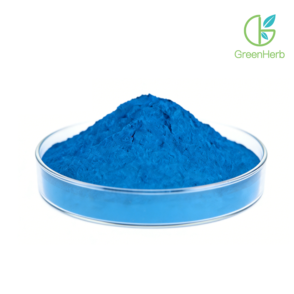 Blue Spirulina Powder close-up texture detail