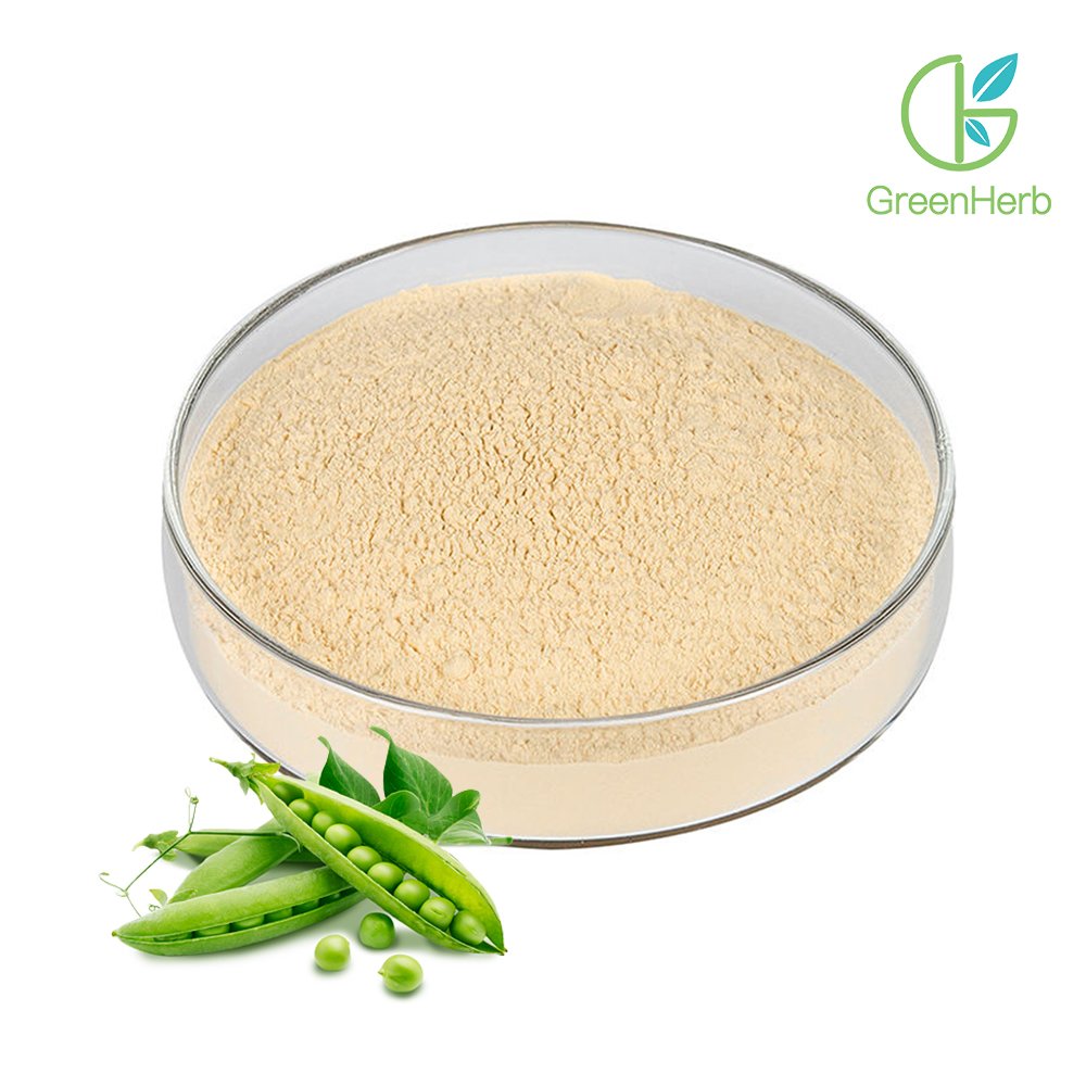 Pea Protein Powder 85% close-up texture detail