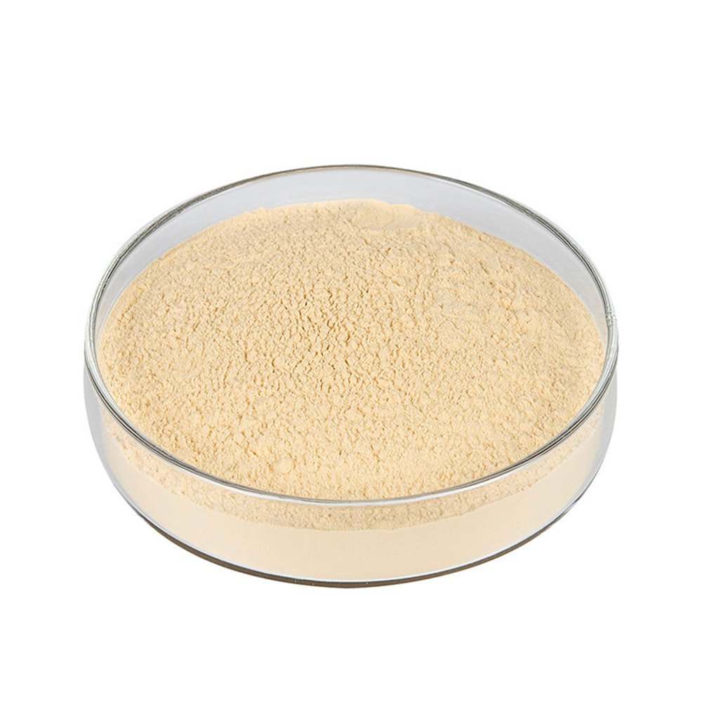 Pale beige Pea Protein Powder 85% fine powder detail