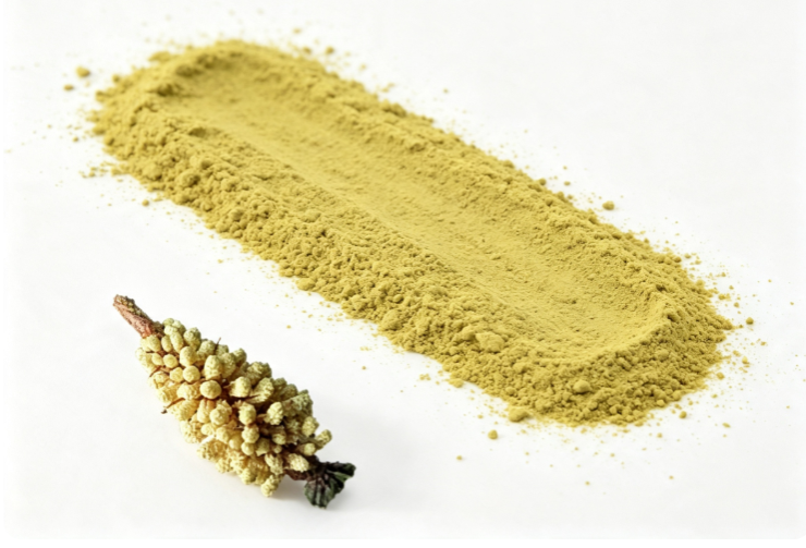 Cell Wall Broken Pine Pollen Powder close‑up texture detail Cell Wall Broken Pine Pollen Powder close‑up texture detail