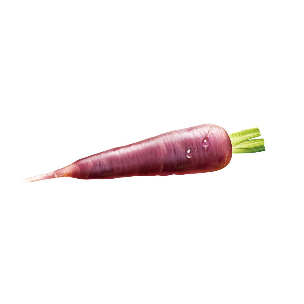 Purple carrot fruit macro photography spray‑dried juice powder