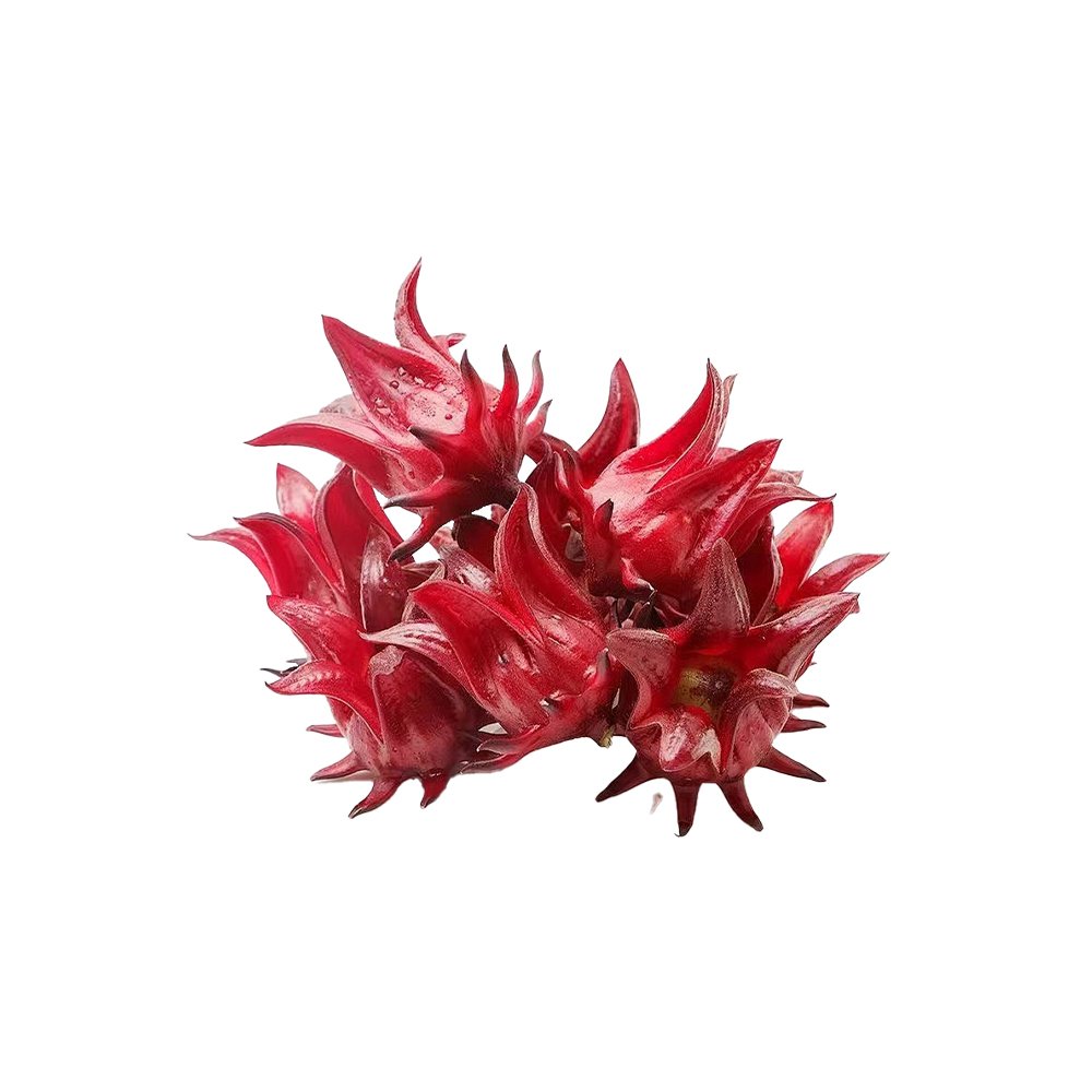 Rhodiola rosea root macro photography herbal extract powder