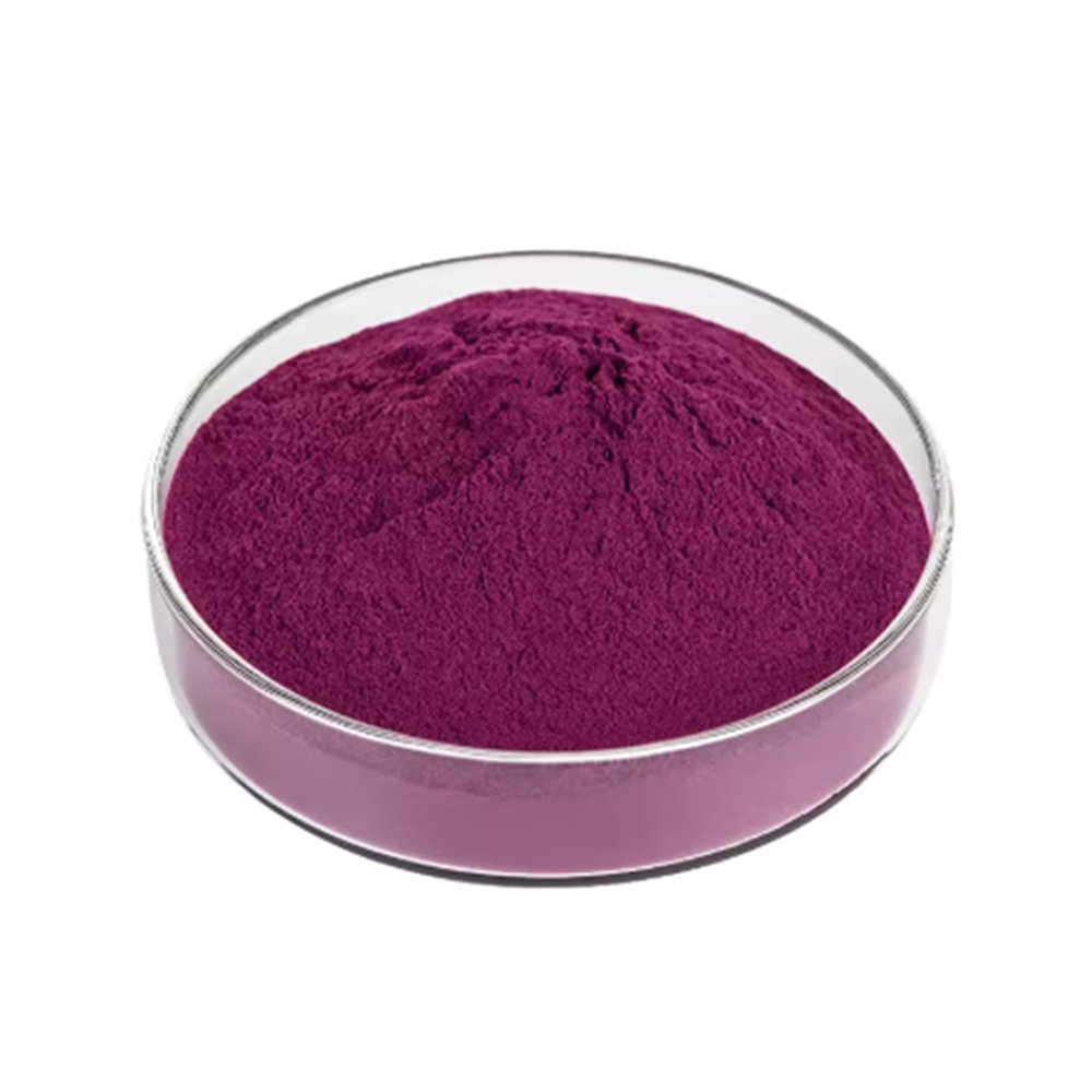 Reddish pink Cranberry Juice Powder fine powder detail