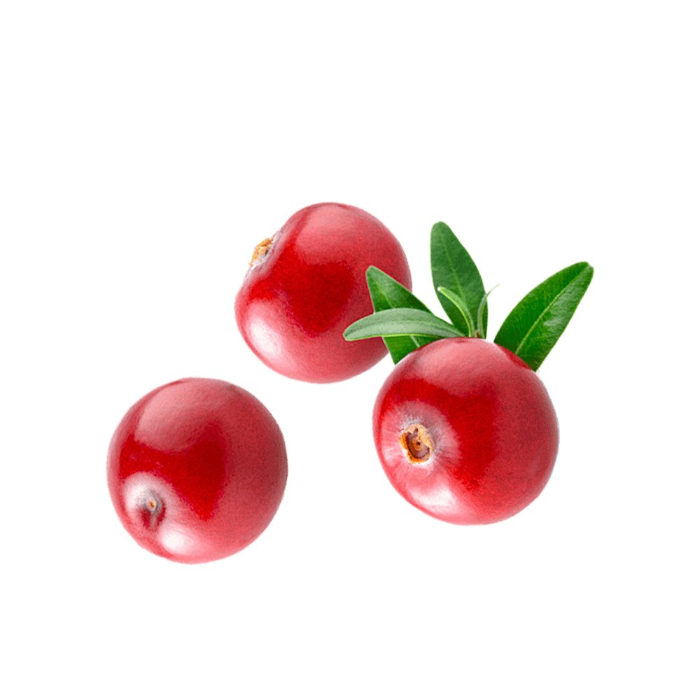 Cranberry fruit macro photography fruit juice powder