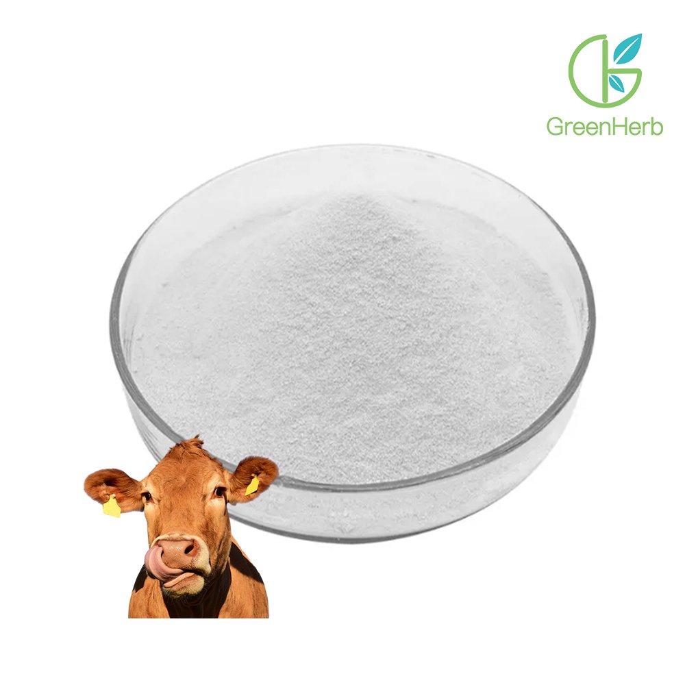 Bovine Collagen Powder close-up texture detail
