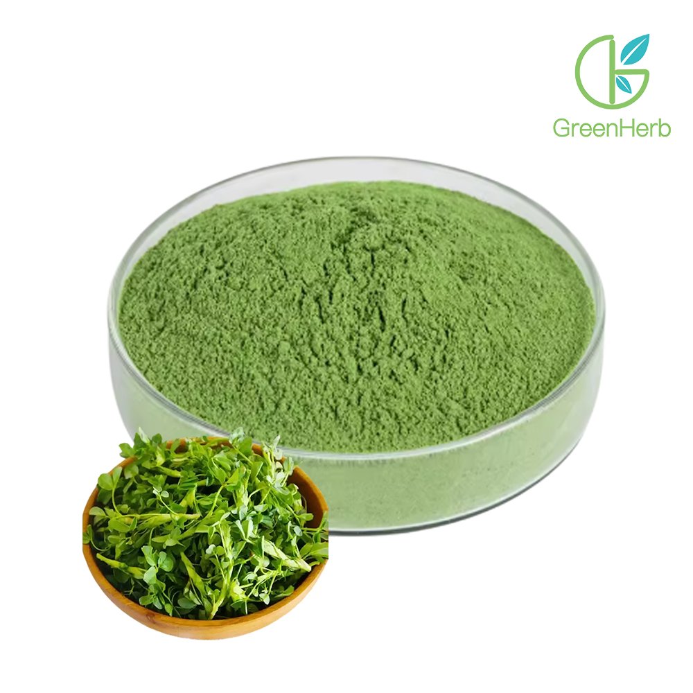 Alfalfa Grass Powder close‑up texture detail
