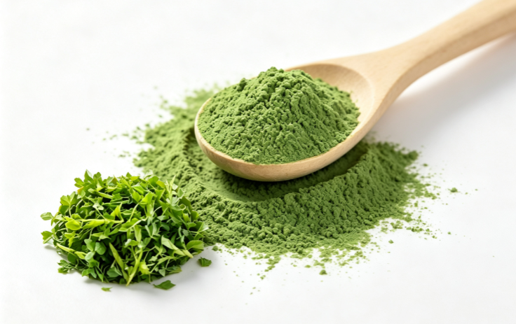 Alfalfa grass fine powder macro photography Alfalfa grass fine powder macro photography