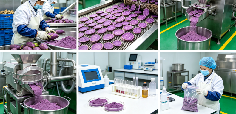 Purple sweet potato raw material washing, drying, grinding process flowchart Purple sweet potato raw material washing, drying, grinding process flowchart