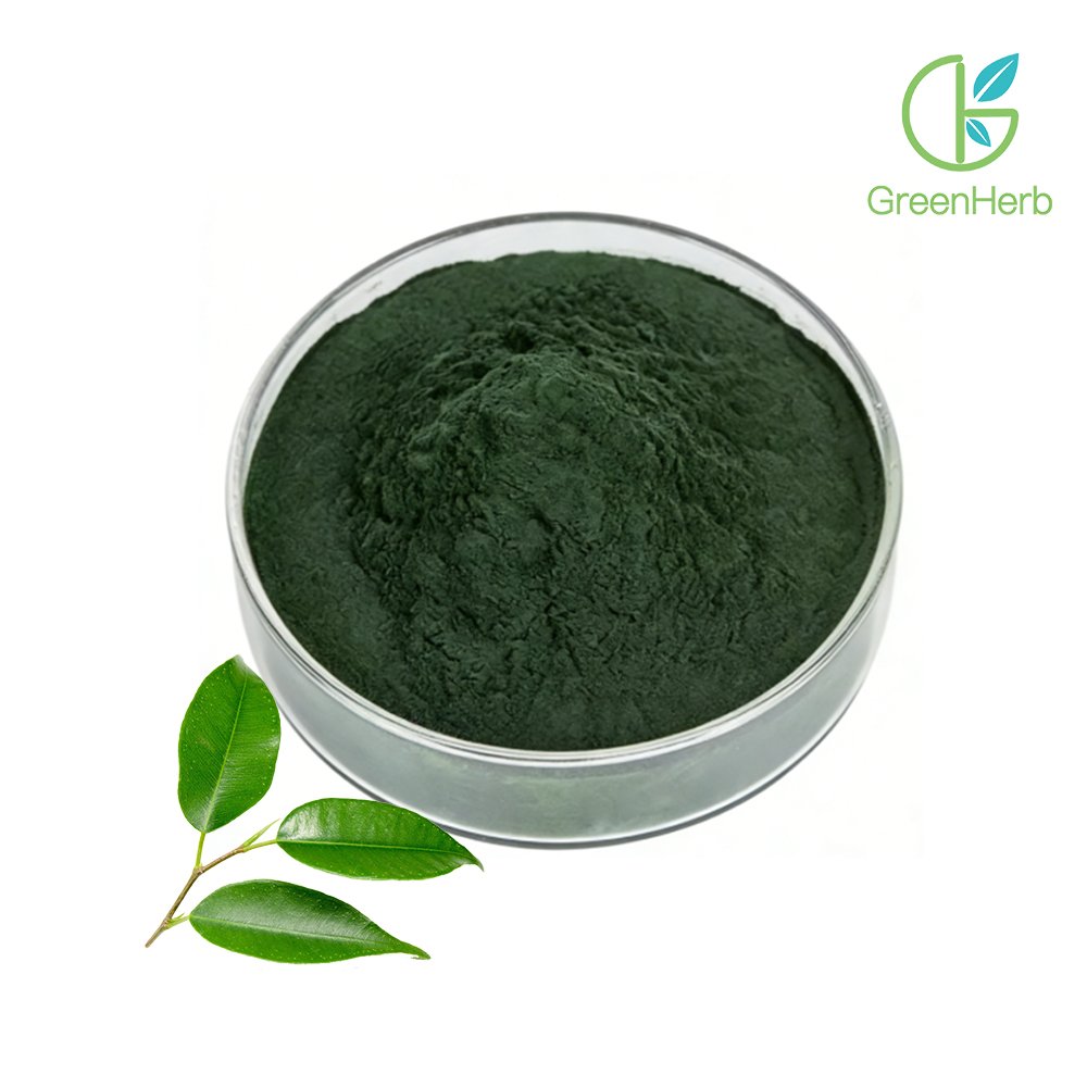 Sodium Copper Chlorophyllin Powder close‑up texture detail