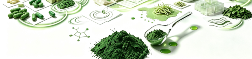 Sodium Copper Chlorophyllin Powder multiple application scenes 今天 17:14 Sodium Copper Chlorophyllin Powder in food products How is Sodium Copper Chlorophyllin Powder made? What are the benefits of using Sodium Copper Chlorophyllin Powder Sodium Copper Chlorophyllin Powder multiple application scenes 今天 17:14 Sodium Copper Chlorophyllin Powder in food products How is Sodium Copper Chlorophyllin Powder made? What are the benefits of using Sodium Copper Chlorophyllin Powder