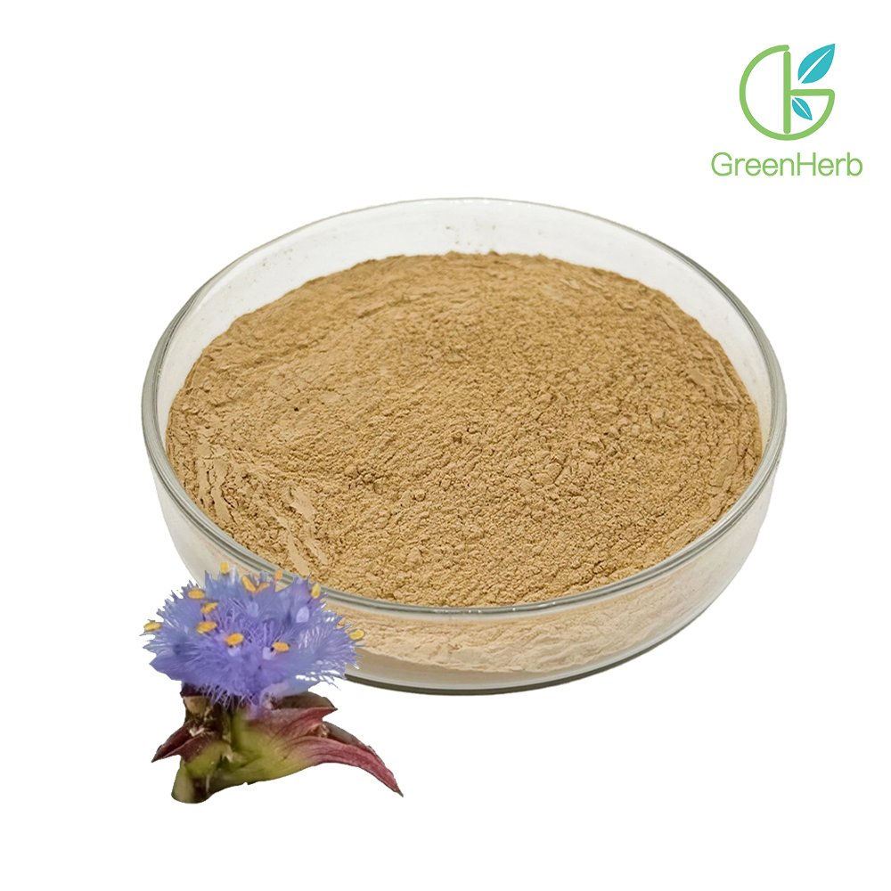 Beta Ecdysterone Powder close‑up texture detail