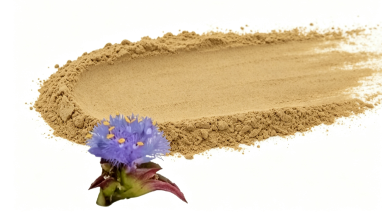 Beta Ecdysterone Powder close‑up texture detail