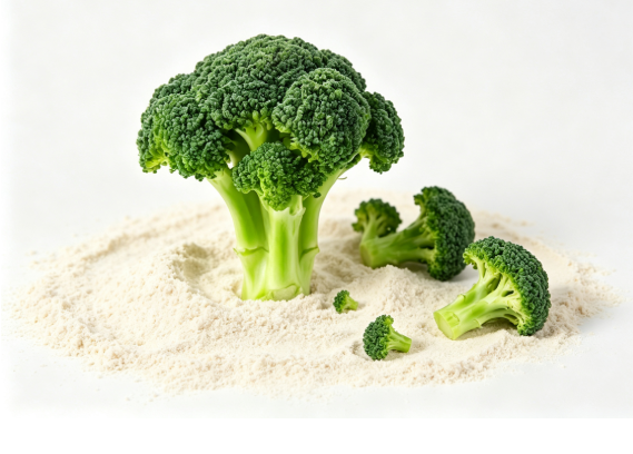 Brassica oleracea broccoli powder macro photography Brassica oleracea broccoli powder macro photography