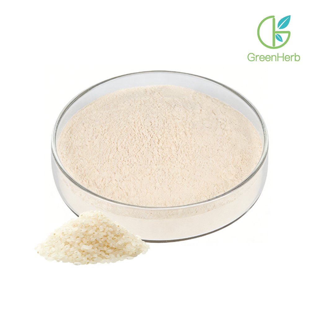 Rice Protein Powder close-up texture detail