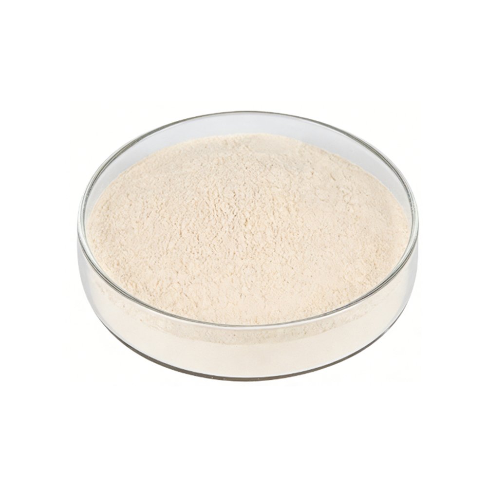 Light cream‑white Mung Protein Powder fine powder detail
