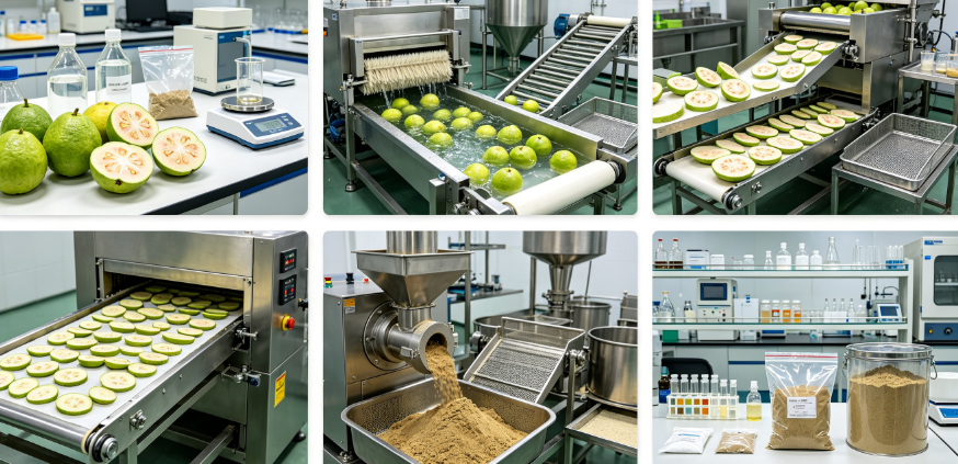 Spray drying process flowchart for guava fruit powder concentration Spray drying process flowchart for guava fruit powder concentration