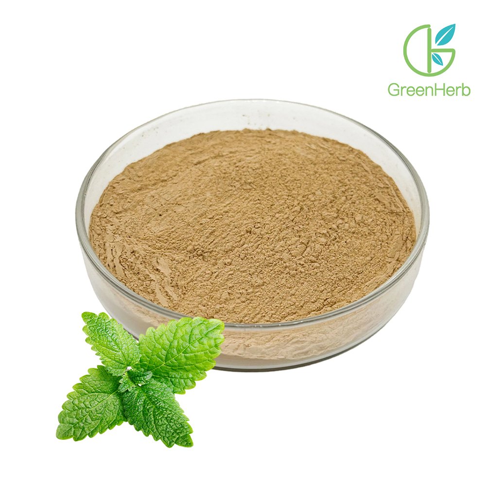 Lemon Balm Powder close-up texture detail