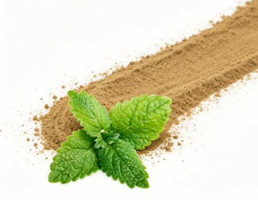 Lemon Balm Powder close-up texture detail