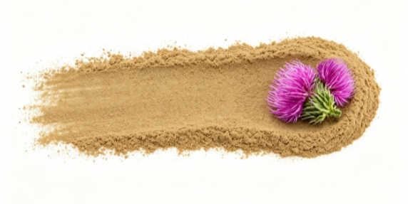 Milk Thistle Extract close-up texture detail Milk Thistle Extract close-up texture detail