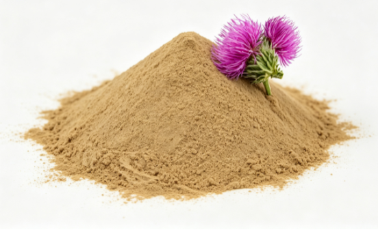 Silybum marianum dried herb extract powder macro photography Silybum marianum dried herb extract powder macro photography