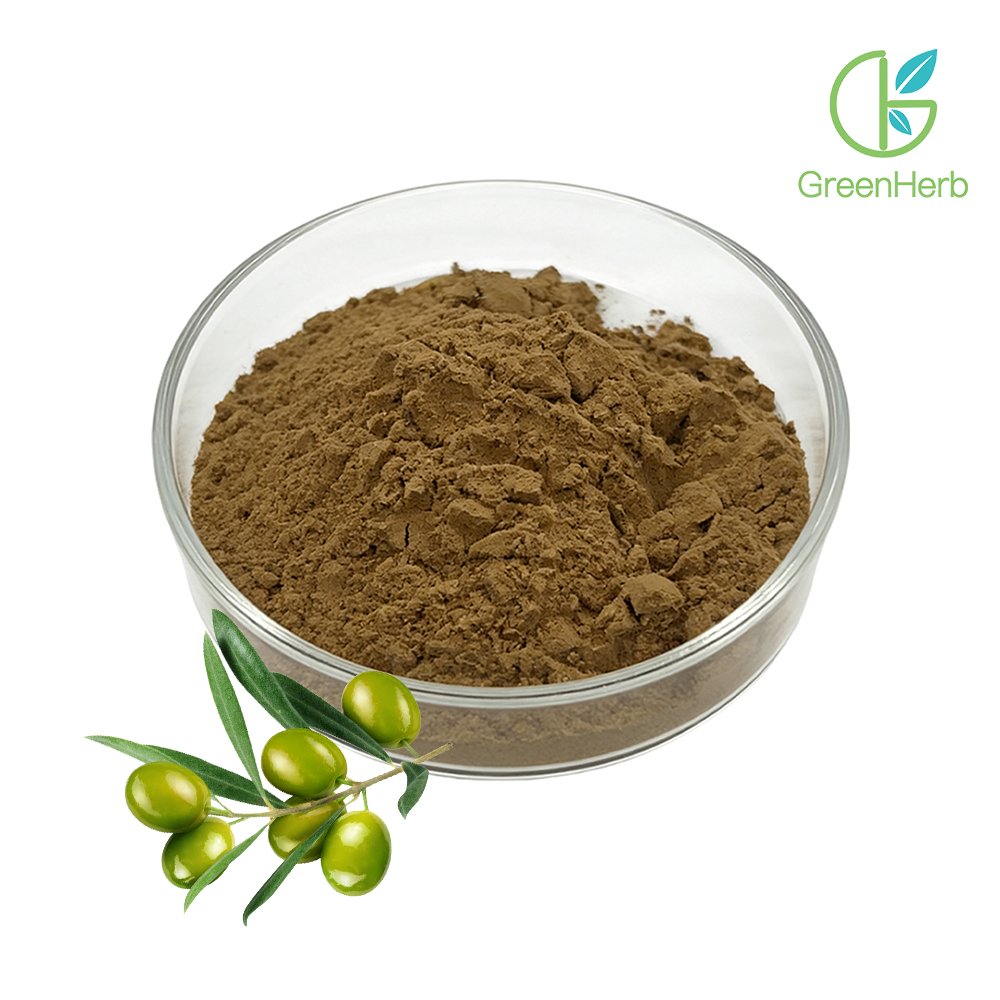 Olive leaf raw herb material display
