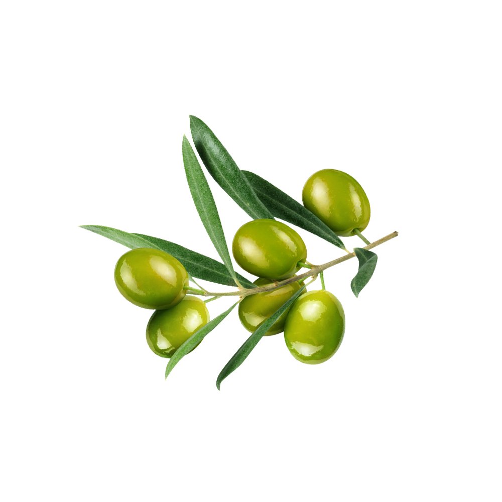 Olive Leaf Extract close-up texture detail macro photography