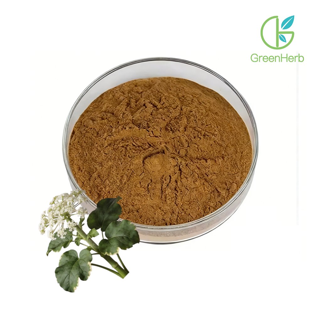 Light brown Valerian Root Extract fine powder detail