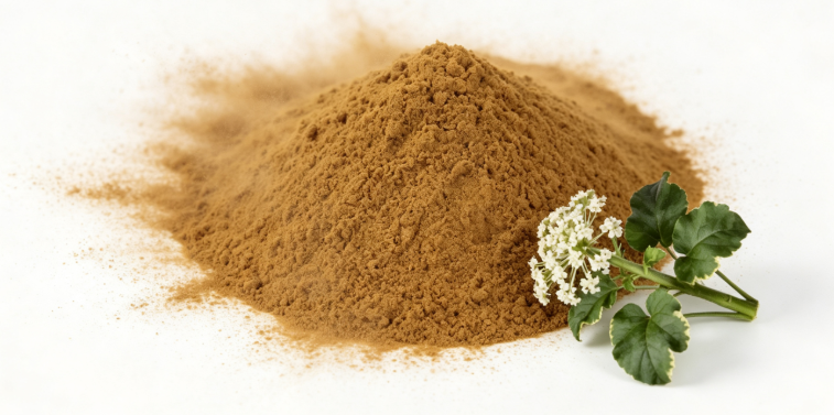 Valerian Root Extract close-up texture detail valerian root dried extract powder macro photography