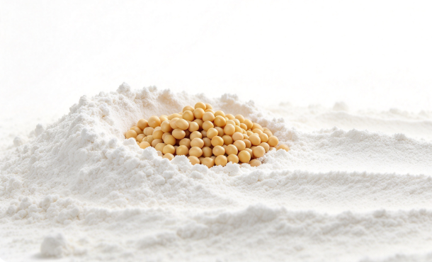 Soy Phytosterols Powder close‑up texture detail fine powder macro photography ScreenShot_2026-10-08_135628_977.png