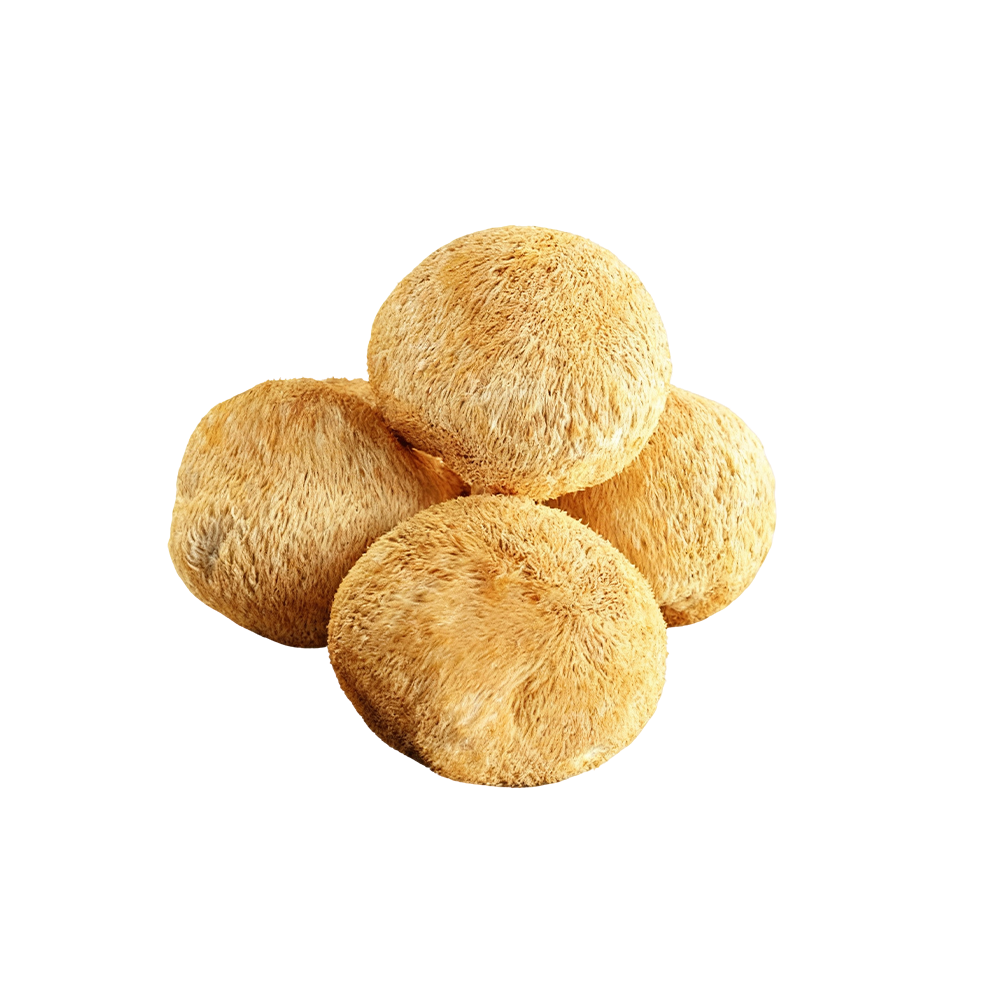 Lion's Mane Mushroom Extract