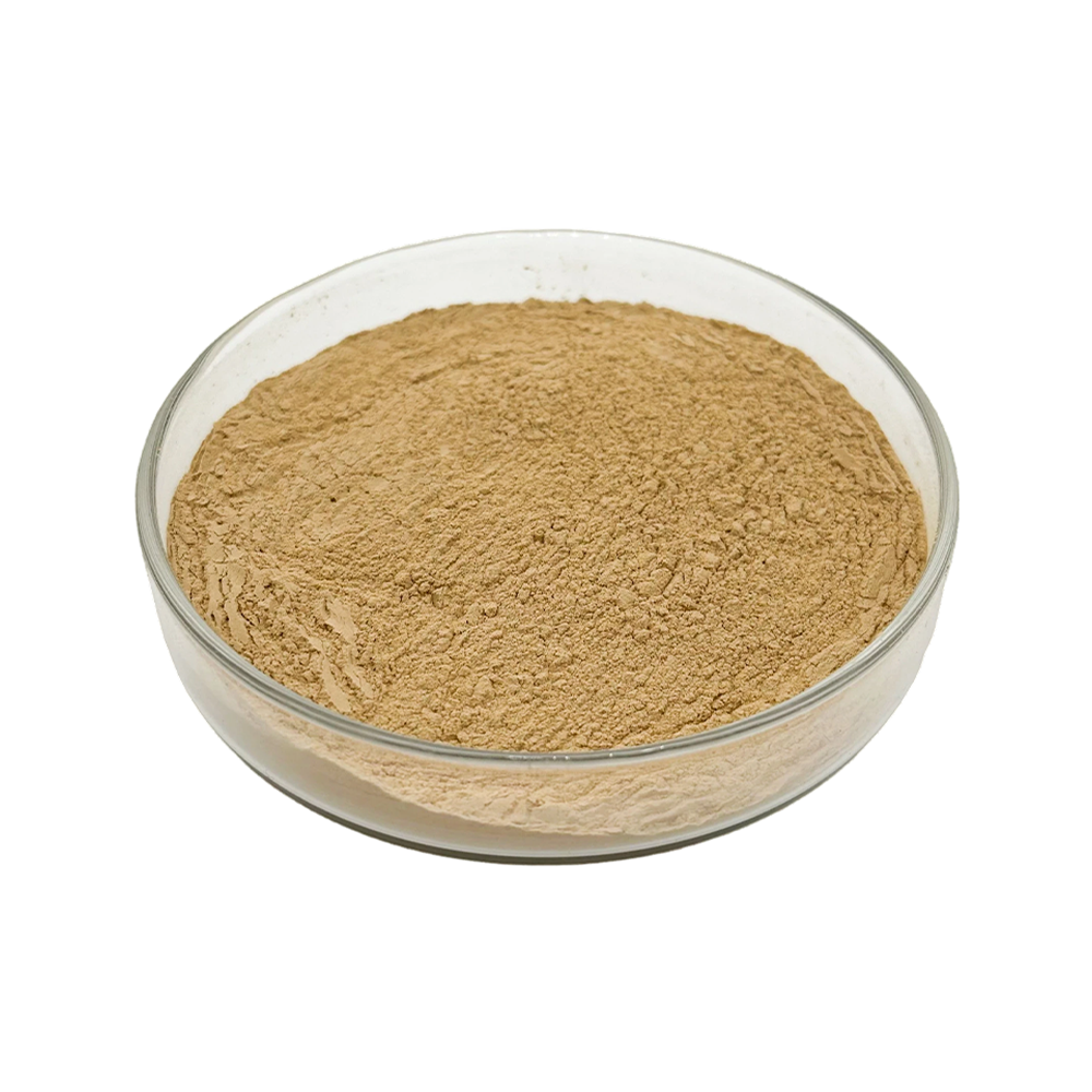 Maca Extract Powder
