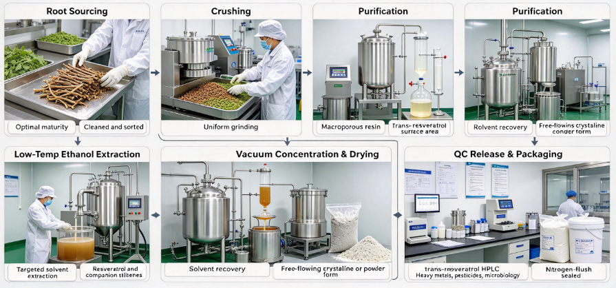 Ethanol extraction & crystallization process flowchart for resveratrol powder ScreenShot_2026-10-09_150313_342.png